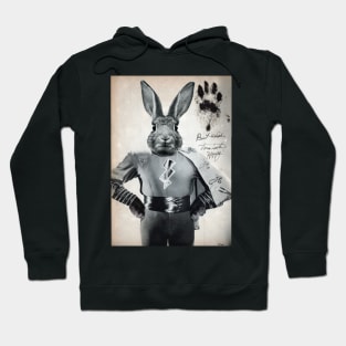 Hoppy Hoodie